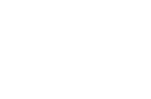 Василена Банчева НЛП Коучинг